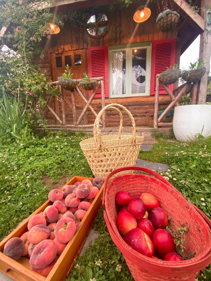 Meena Bagh Ratnari- An Apple Orchard Bungalow Bagi 外观 照片