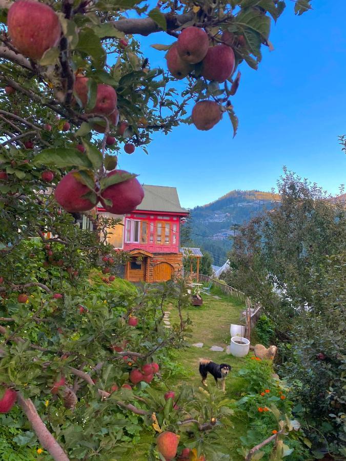 Meena Bagh Ratnari- An Apple Orchard Bungalow Bagi 外观 照片